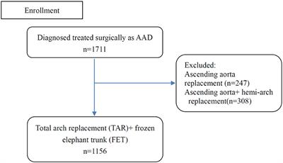 Prediction Nomogram for Postoperative 30-Day Mortality in Acute Type A Aortic Dissection Patients Receiving Total Aortic Arch Replacement With Frozen Elephant Trunk Technique